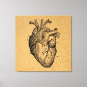 Vintages Herzdiagramm Abbildung Vintage Kunst Leinwanddruck (Vorderseite)