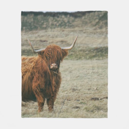 VINTAGES HIGHLAND CATTLE COW FOTO FLEECEDECKE (Vorderseite)
