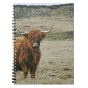 VINTAGES HIGHLAND CATTLE COW FOTO NOTIZBLOCK