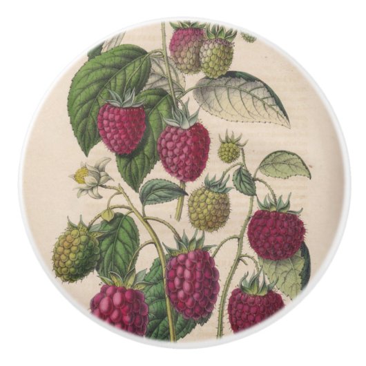 Vintages Himbeerobst Keramikknauf (Vorderseite)