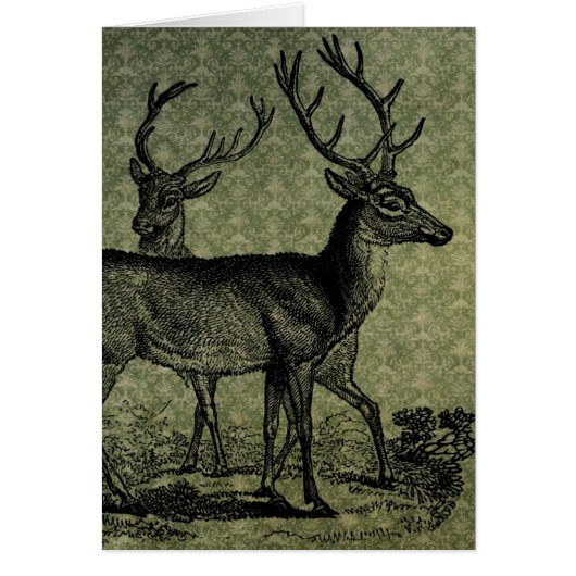 Vintages Hirsch (Vorne)