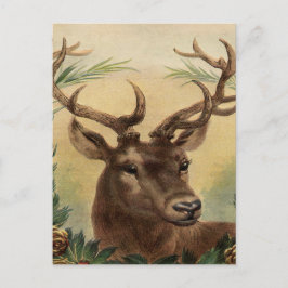 Vintages Hirsch Buck Stag Natur Rustikales Weihnac Feiertagspostkarte