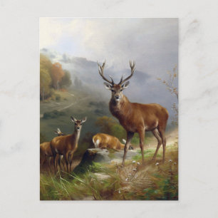 Vintages Hirschstag - Tiere Alte Illustration Kuns Postkarte