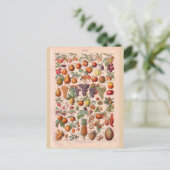 Vintages historisches Obst Postkarte (Stehend Vorderseite)