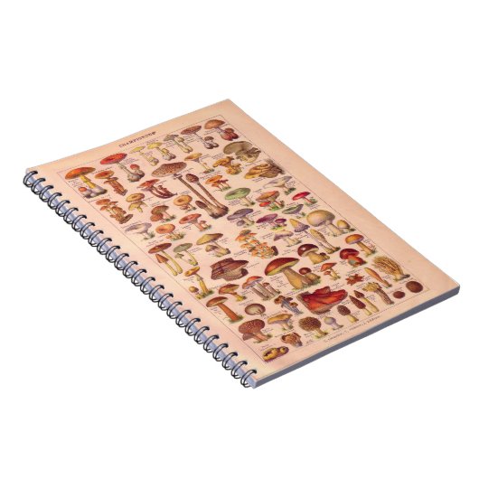 Vintages historisches, Pilze Notizblock (Rechte Seite)