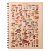 Vintages historisches, Pilze Notizblock (Vorderseite)