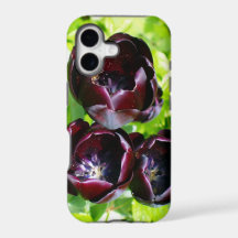 Vintages holländisches Lila Green Black Tulips Fot