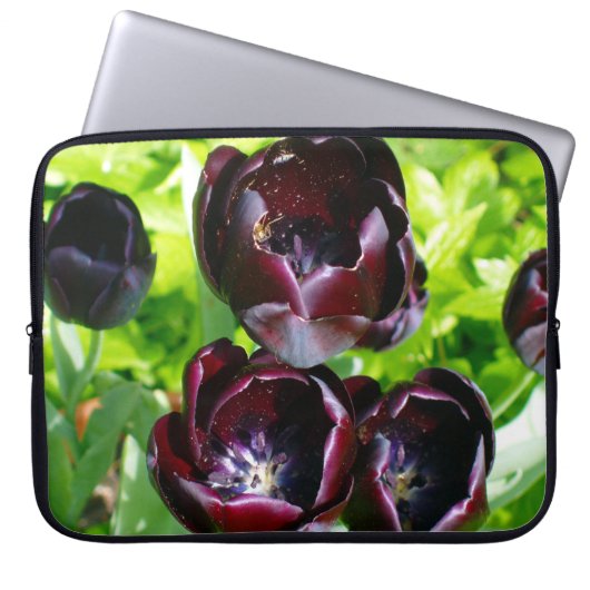 Vintages holländisches Lila Green Black Tulips Fot Laptopschutzhülle (Vorderseite)