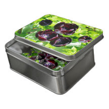 Vintages holländisches Lila Green Black Tulips Fot