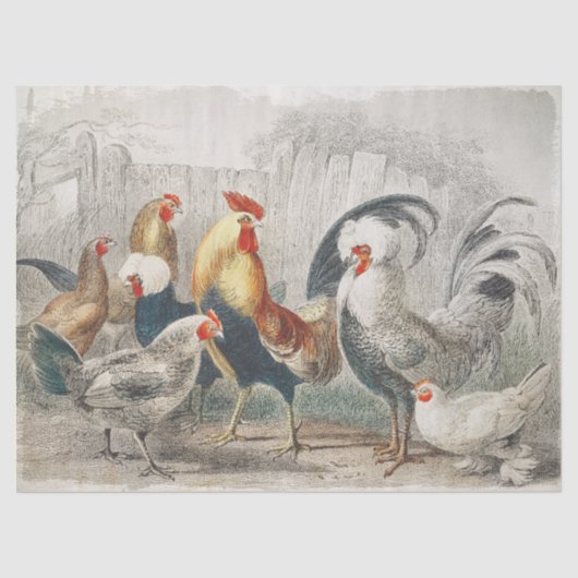 Vintages Hühnergewebe oder Entbeinungspapier Seidenpapier (Vorderseite)