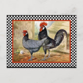 Vintages Hühnerrooster Postkarte (Vorderseite)