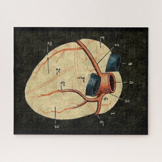 Vintages humanes Herzdiagramm Puzzle (Horizontal)