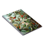 Vintages Hummingbird-Notebook Notizblock (Rechte Seite)