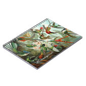 Vintages Hummingbird-Notebook Notizblock (Linke Seite)