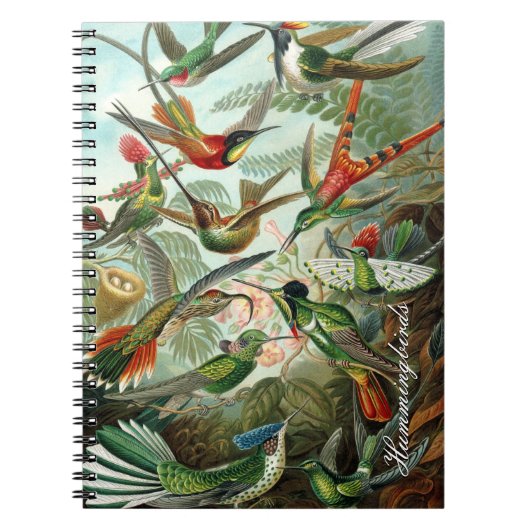 Vintages Hummingbird-Notebook Notizblock (Vorderseite)