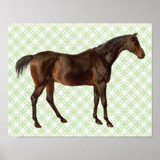 Vintages Illustriertes Reitpferd Poster (Vorne)