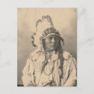 Vintages Indian: Gepunktetes Jack Kaninchen, Crow Postkarte