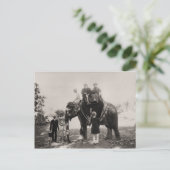 Vintages Indien, Elefantenreise Postkarte (Stehend Vorderseite)