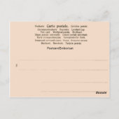 Vintages Indien, Taj Mahal Postkarte (Rückseite)