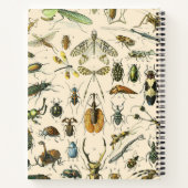 Vintages Insekt Notizblock (Rückseite)
