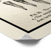 Vintages Inspiriertes Zähnendiagramm Poster (Ecke)