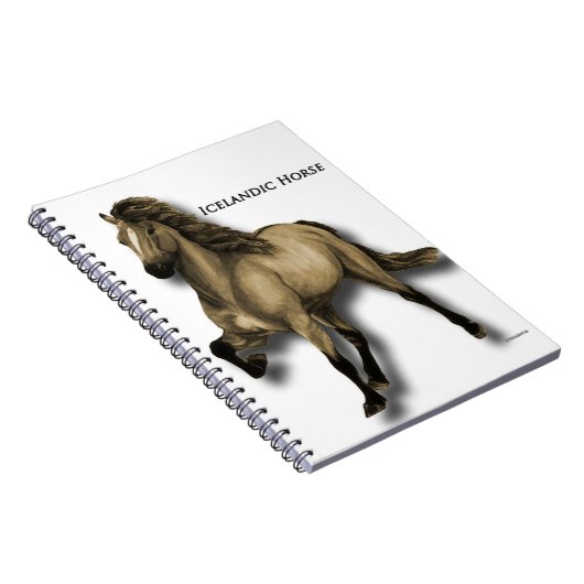 Vintages Isländisch Notizblock (Rechte Seite)