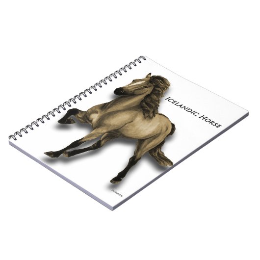 Vintages Isländisch Notizblock (Linke Seite)