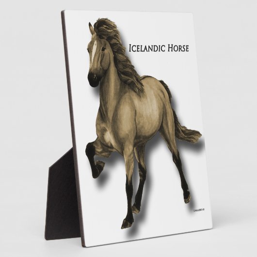Vintages isländisches Pferd Fotoplatte (Seite)