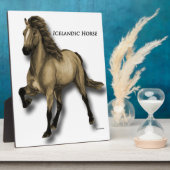 Vintages isländisches Pferd Fotoplatte (Seite)