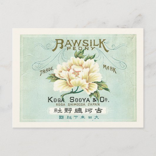 Vintages Japan Rohseide Weißer Peony Postkarte (Vorderseite)