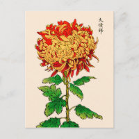 Vintages japanisches Chrysanthemum. Gold und Orang