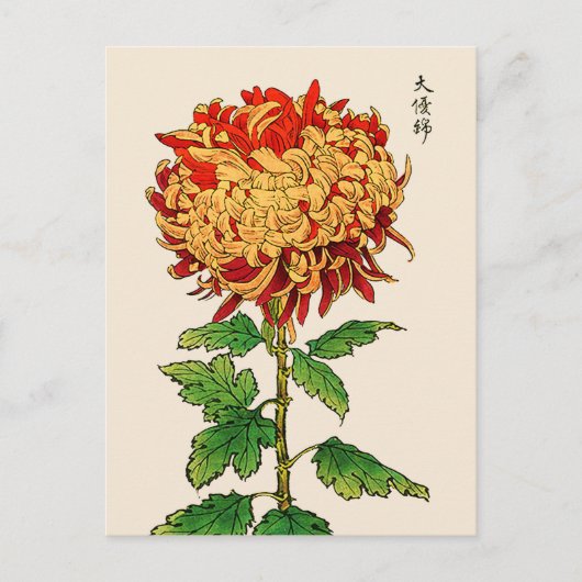 Vintages japanisches Chrysanthemum. Gold und Orang Postkarte (Vorderseite)