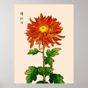 Vintages japanisches Chrysanthemum. Orange und Gol Poster