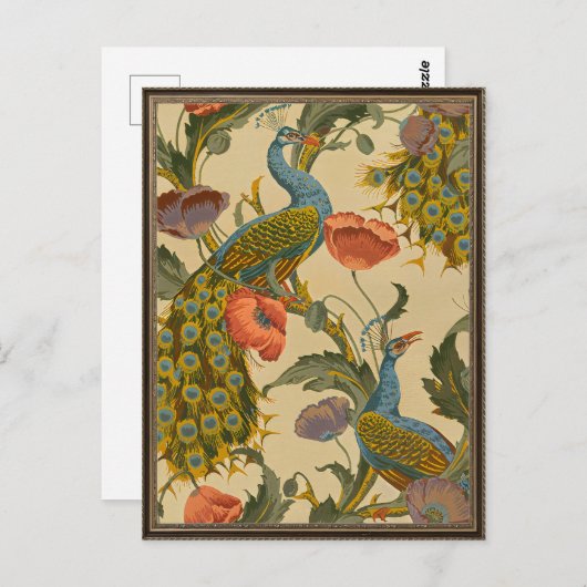 Vintages Jugendstil 1896 Das Pfauenmuster Postkarte (Vorne/Hinten)