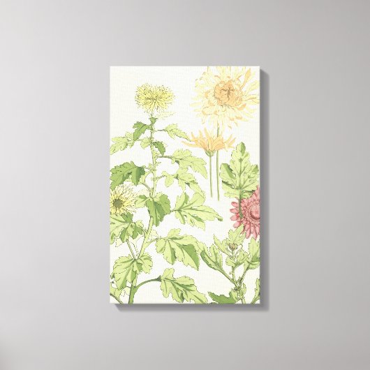 Vintages Jugendstil, Chrysanthemen im Garten Leinwanddruck (Vorderseite)