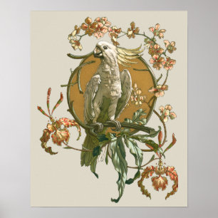 Vintages Jugendstil, Cockatoo Bird, Orchideen Blum Poster