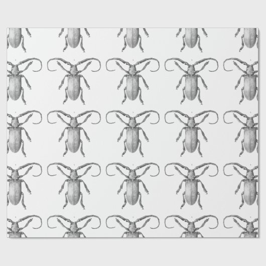 Vintages Käferillustrations-Geschenkpapier Geschenkpapier (Flach)