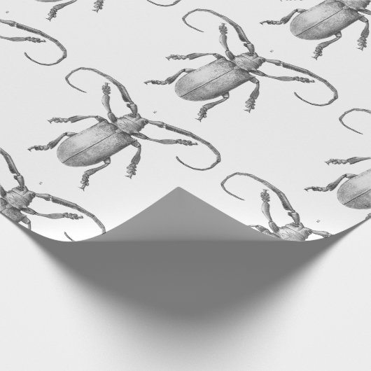 Vintages Käferillustrations-Geschenkpapier Geschenkpapier (Ecke)