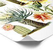 Vintages Kaktus Botanisches Illustrationspaket Poster (Ecke)