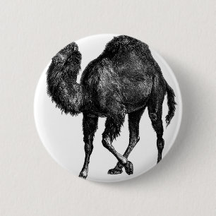 Vintages Kamel Button