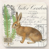 Vintages Kanbit Ferns Französisches Dokument Unter Getränkeuntersetzer (Vorderseite)