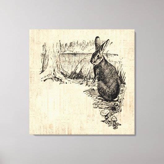 Vintages Kaninchen Illustriert Bunny Art Leinwanddruck (Vorderseite)