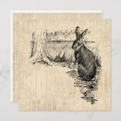 Vintages Kaninchen Illustriert Bunny Art Mitteilungskarte (Vorne/Hinten)