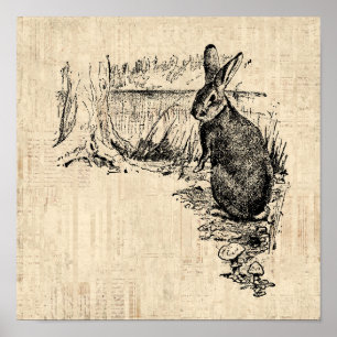 Vintages Kaninchen Illustriert Bunny Art Poster