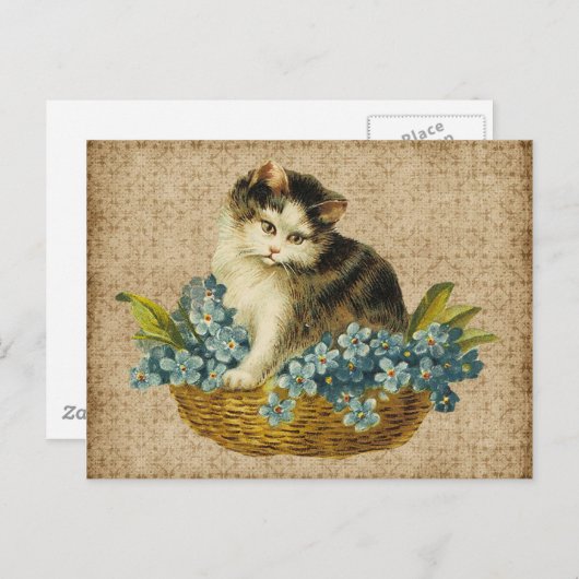 Vintages Kätzchen im Korb Postkarte (Vorne/Hinten)