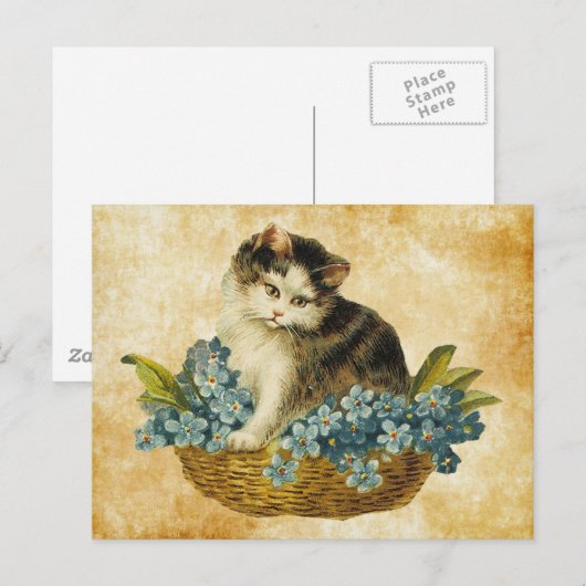 Vintages Kätzchen im Korb Postkarte (Vorne/Hinten)