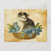 Vintages Kätzchen im Korb Postkarte (Vorderseite)