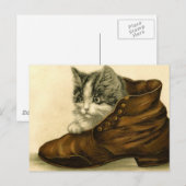 Vintages Kätzchen Postkarte (Vorne/Hinten)