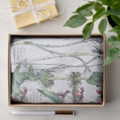 Vintages Katzen-Ohr-Blumen-Wildblumen-Seidenpapier Seidenpapier (Geschenk)