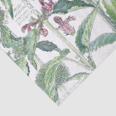 Vintages Katzen-Ohr-Blumen-Wildblumen-Seidenpapier Seidenpapier (Detail)